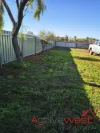 16 McCleary Street, Meekatharra, WA 6642-Image
