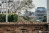 16 McCormack Street, The Hill, NSW 2300-Image
