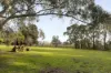 16 Medhurst Road, Coldstream, Vic 3770-Image