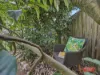 16 Miller Street, Dumbalk, Vic 3956-Image