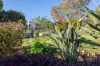 16 Moffatt Street, Kalbar, Qld 4309-Image
