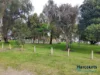 16 Montes Square, Riverton, WA 6148-Image