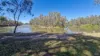 16 Moor Street, Barmah, Vic 3639-Image