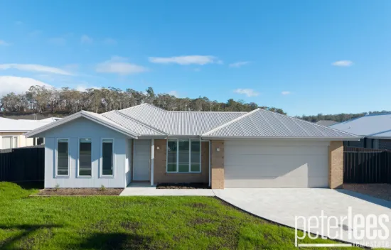 16 Napoleon St, Perth, Tas 7300