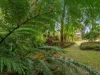 16 Nelson Road, Babinda, Qld 4861-Image