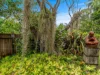 16 Nelson Road, Babinda, Qld 4861-Image