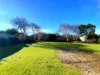 16 Nina Street, Warrnambool, Vic 3280-Image
