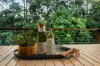 16 Nyamber Place, Upper Kedron, Qld 4055-Image