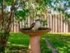 16 Oates Street, Montello, Tas 7320-Image