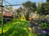 16 Oates Street, Montello, Tas 7320-Image
