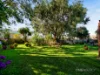 16 Oates Street, Montello, Tas 7320-Image