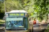 16 Old Beecroft Road, Cheltenham, NSW 2119-Image