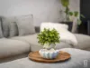 16 Oleander Street, Canton Beach, NSW 2263-Image