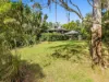 16 Palm-Lily Crescent, Bangalow, NSW 2479-Image