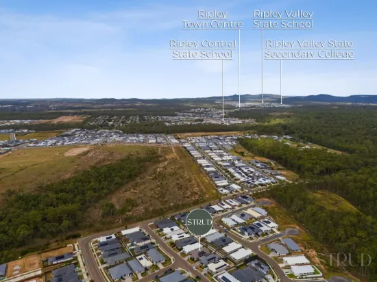 16 Palmview Street, Ripley, Qld 4306-Image