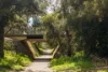 16  Paterick Place, Holt, ACT 2615-Image