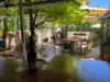 16 Phillips Street, Bridgetown, WA 6255-Image