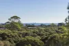 16 Phyllis Parade, Rye, Vic 3941-Image