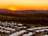 16 Pinnacle Way, Pimpama, Qld 4209-Image