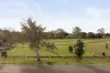 16 Pitt Street, Concord, NSW 2137-Image