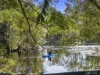 16 Poplar, Bogangar, NSW 2488-Image