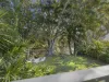 16 Poplar, Bogangar, NSW 2488-Image