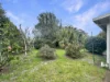 16 President Wilson Walk, Tanilba Bay, NSW 2319-Image