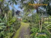 16 President Wilson Walk, Tanilba Bay, NSW 2319-Image