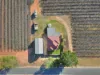 16 Puddletown Road, Barmera SA 5345-Image