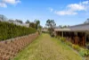16 Radford Road, Angaston, SA 5353-Image