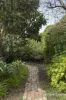 16 Railton Grove, Preston, Vic 3072-Image