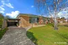 16 Rapanea Street, Rivett, ACT 2611
