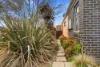 16 Ridding Street, Forde, ACT 2914-Image