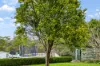 16 Rowella Road, Sidmouth, Tas 7270-Image