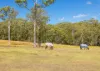 16 Ruprechts Road, Mitchells Island, NSW 2430-Image