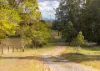 16 Ruprechts Road, Mitchells Island, NSW 2430-Image