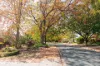 16 Ryan Street, Curtin, ACT 2605-Image
