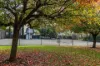 16 Salop Street, Beulah Park, SA 5067-Image