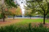 16 Salop Street, Beulah Park, SA 5067-Image