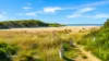 16 Scamander Avenue, Scamander, Tas 7215-Image