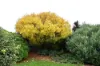 16 Seahaze Drive, Torquay, Vic 3228-Image