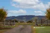 16 Shearmans Road, Darnum, Vic 3822-Image