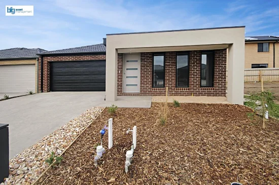 16 Shearwater Drive, Armstrong Creek, Vic 3217