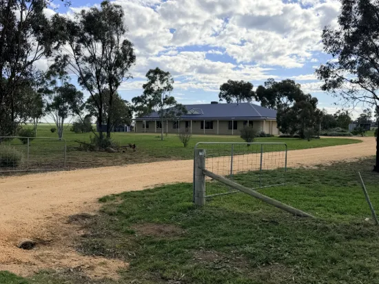 16 Sheep Hills Road, Donald, Vic 3480