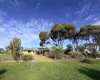 16 Sheep Hills Road, Donald, Vic 3480-Image