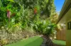 16 Smoko Close, Brinsmead, Qld 4870-Image
