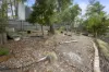 16 Sobey Street, Mount Helen, Vic 3350-Image