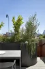 16 St Martins Lane, South Yarra, Vic 3141-Image