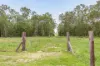 16 St Marys Road, Pioneers Rest, Qld 4650-Image
