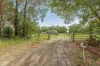 16 St Marys Road, Pioneers Rest, Qld 4650-Image
